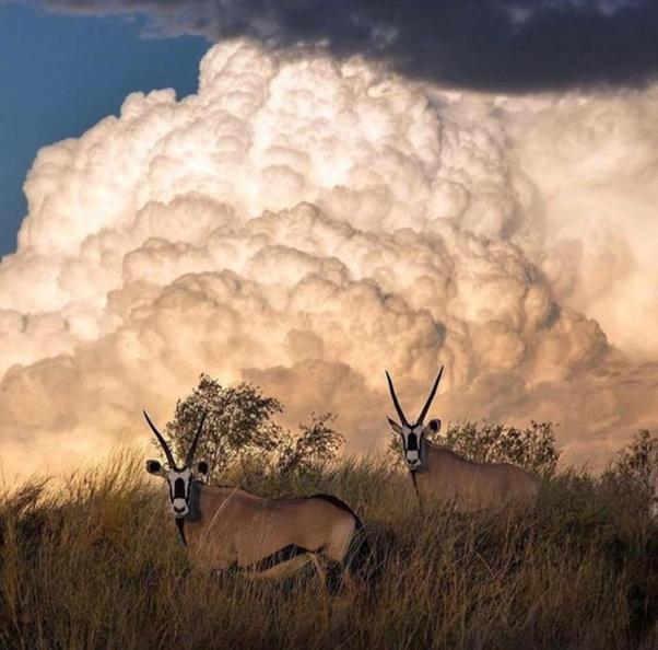 Weltevreden Game Lodge Bloemfontein Eksteriør billede